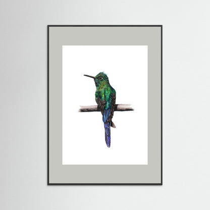 Hummingbird Art Print | Wildlife Wall Art for Nature Lovers