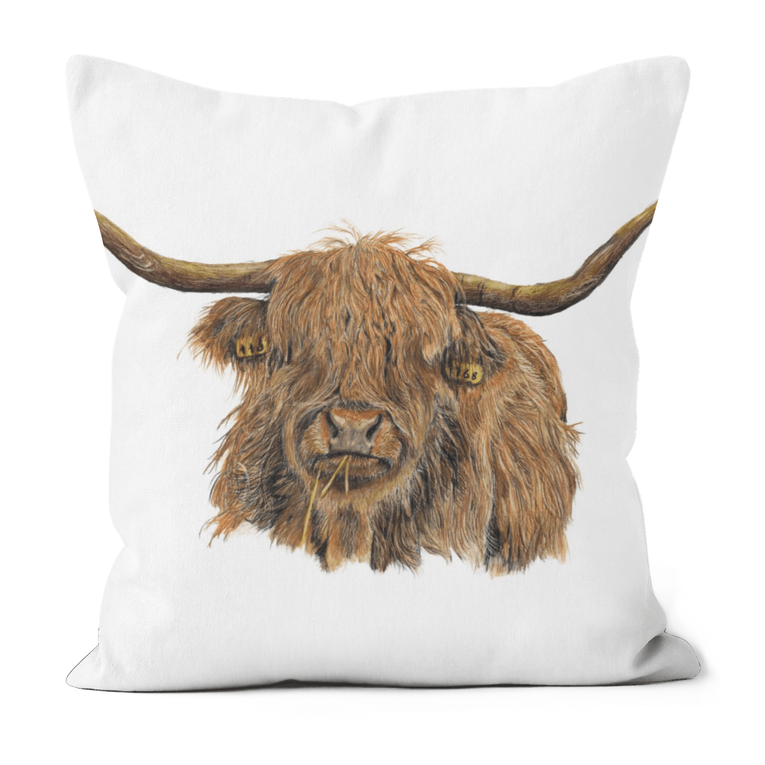 Highland Cow Cushion - Art by Jay | Wildlife Art