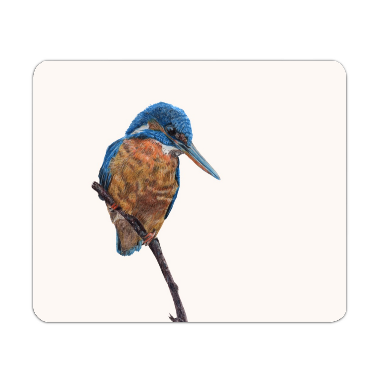 Kingfisher Placemat – Patience British Wildlife Art
