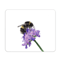 Bumblebee Placemat – Among the Wildflowers
