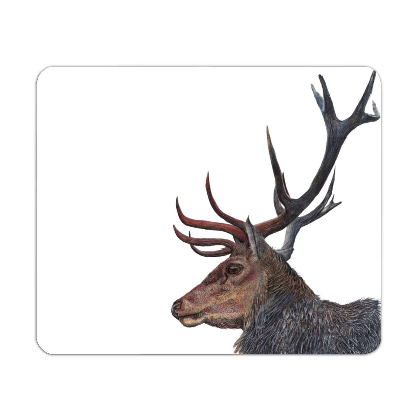 Stag Glossy Placemat