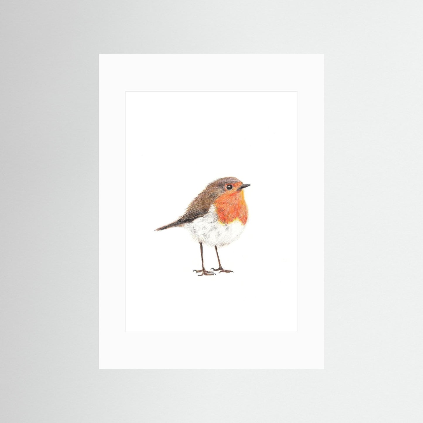 Robin Art Print | Wildlife Wall Art for Nature Lovers Art by Jay | Wildlife Art