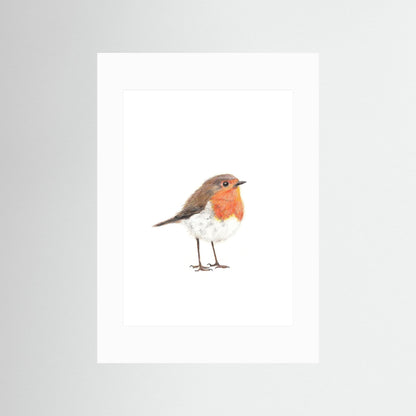 Robin Art Print | Wildlife Wall Art for Nature Lovers Art by Jay | Wildlife Art