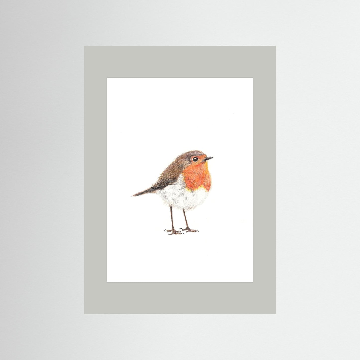 Robin Art Print | Wildlife Wall Art for Nature Lovers Art by Jay | Wildlife Art