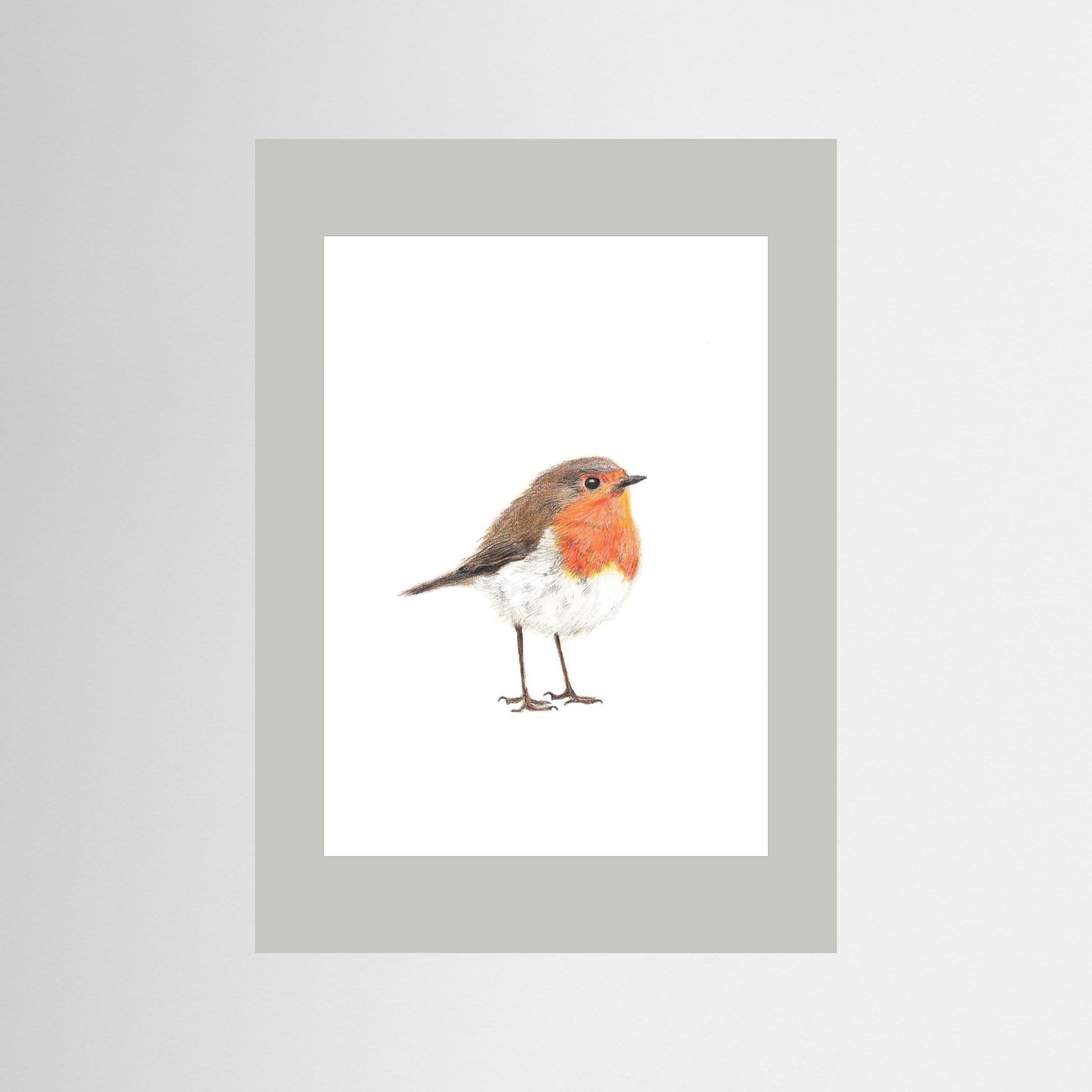 Robin Art Print | Wildlife Wall Art for Nature Lovers Art by Jay | Wildlife Art