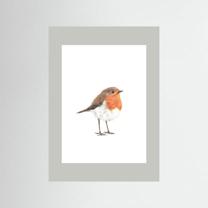 Robin Art Print | Wildlife Wall Art for Nature Lovers Art by Jay | Wildlife Art