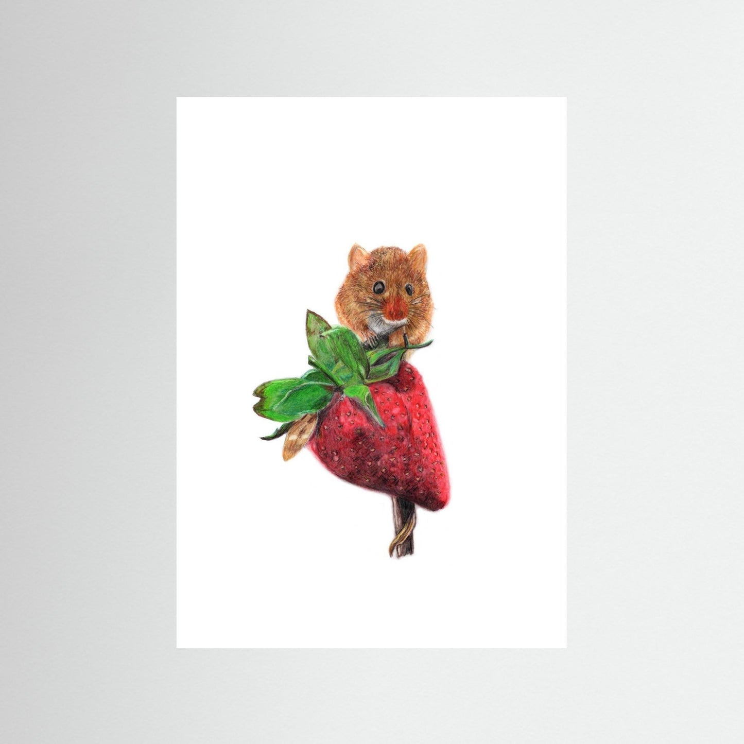 Field Mouse Woodland Art Print Printumo