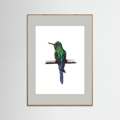 Hummingbird Art Print | Wildlife Wall Art for Nature Lovers