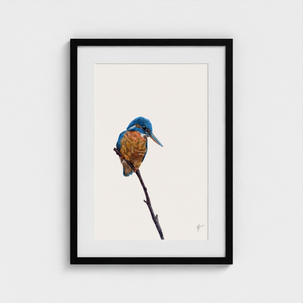 Kingfisher Art Print | British Wildlife Wall Art | Open Edition - Art by Jay | Wildlife Art