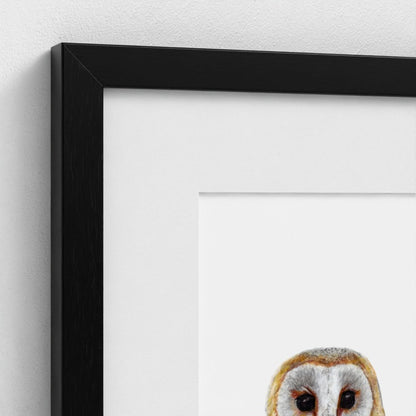 Barn Owl Wildlife Art Print | British Bird Wall Art Art by Jay | Wildlife Art