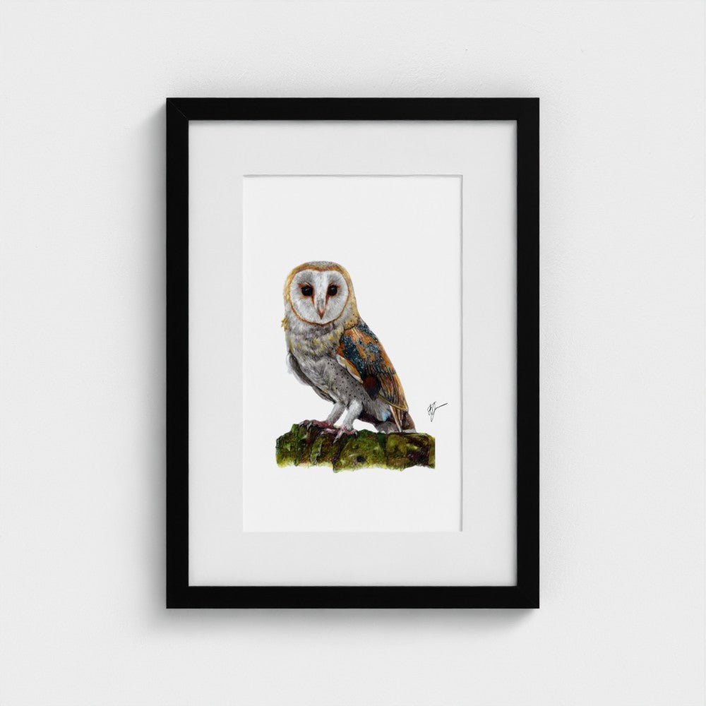 Barn Owl Wildlife Art Print | British Bird Wall Art Art by Jay | Wildlife Art