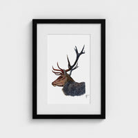 Stag British wildlife art print in a black A3 frame