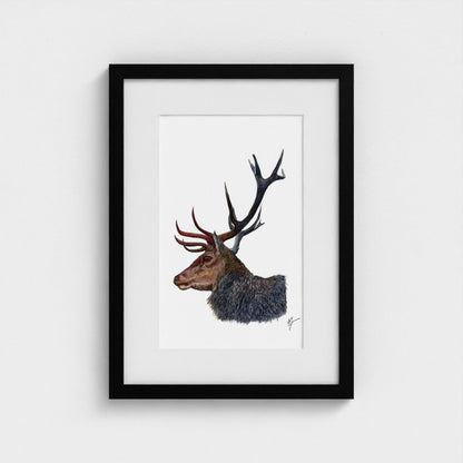 Stag Wildlife Art Print | British Wildlife Wall Art | Open Edition Art by Jay | Wildlife Art