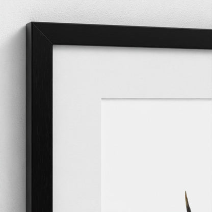 Stag Wildlife Art Print | British Wildlife Wall Art | Open Edition Art by Jay | Wildlife Art
