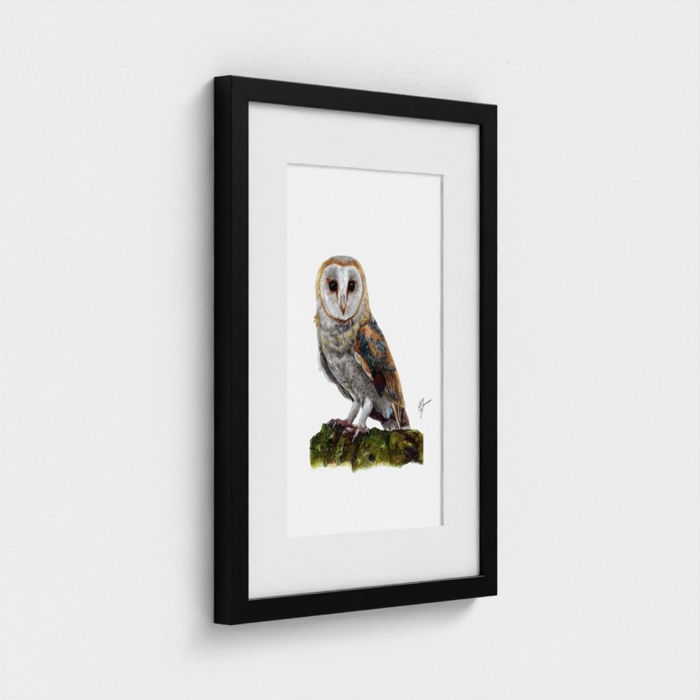 Barn Owl Wildlife Art Print | British Bird Wall Art Art by Jay | Wildlife Art