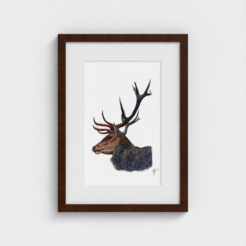Stag Wildlife Art Print | British Wildlife Wall Art | Open Edition Art by Jay | Wildlife Art