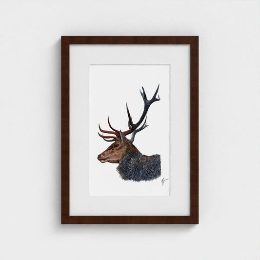 Stag Wildlife Art Print | British Wildlife Wall Art | Open Edition Art by Jay | Wildlife Art