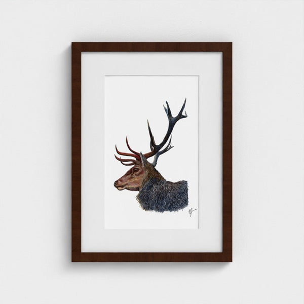Stag Wildlife Art Print | British Wildlife Wall Art | Open Edition Art by Jay | Wildlife Art