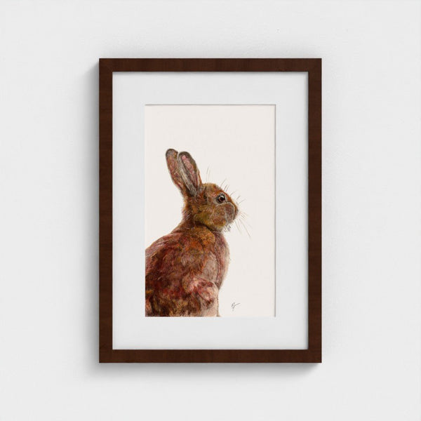 Framed artwork of a rabbit on a white background