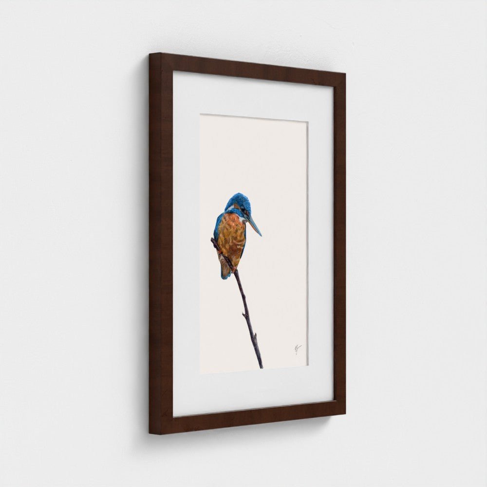 Kingfisher Art Print | British Wildlife Wall Art | Open Edition - Art by Jay | Wildlife Art