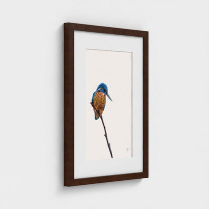 Kingfisher Art Print | British Wildlife Wall Art | Open Edition - Art by Jay | Wildlife Art