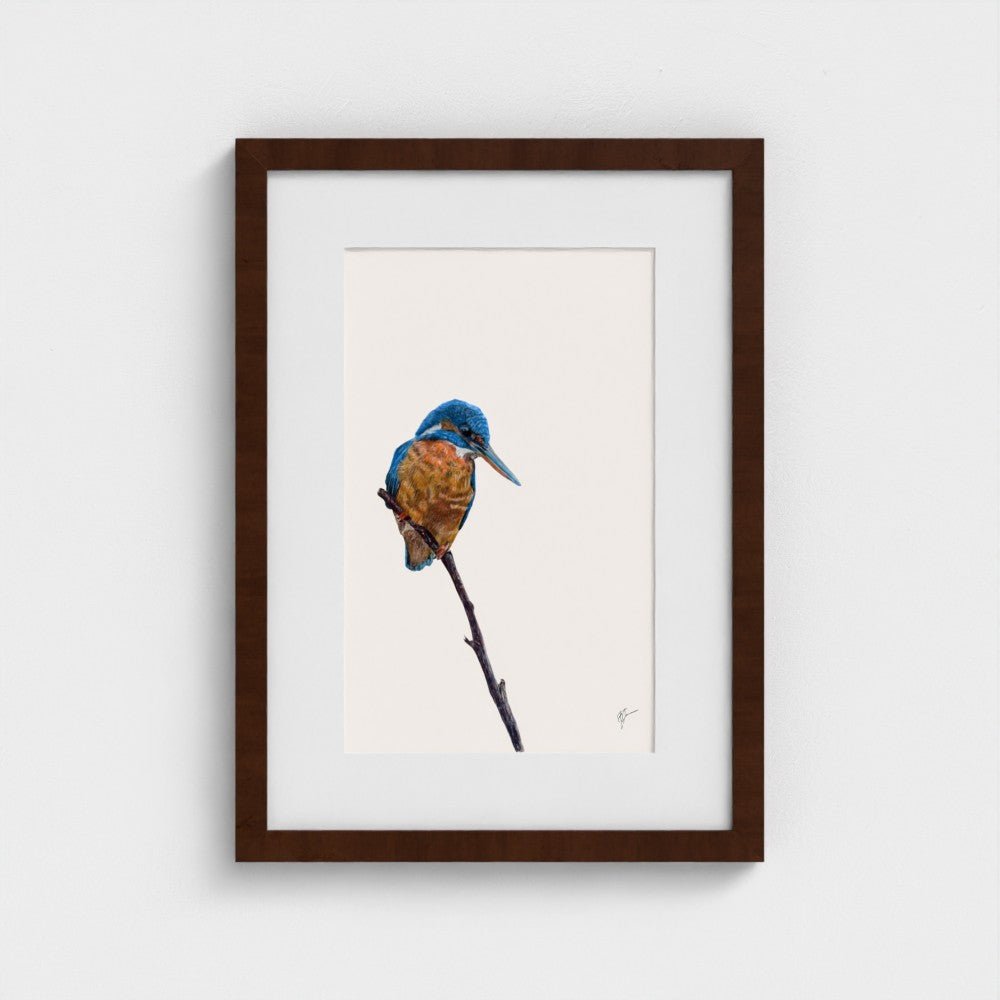 Kingfisher Art Print | British Wildlife Wall Art | Open Edition - Art by Jay | Wildlife Art