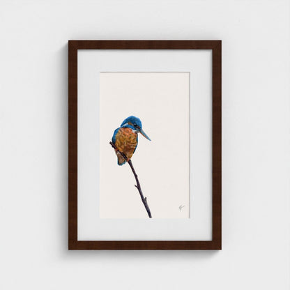 Kingfisher Art Print | British Wildlife Wall Art | Open Edition - Art by Jay | Wildlife Art
