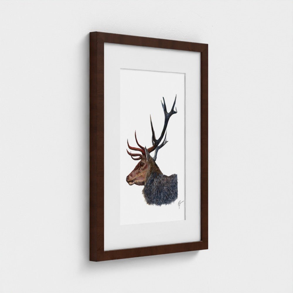 Stag Wildlife Art Print | British Wildlife Wall Art | Open Edition Art by Jay | Wildlife Art