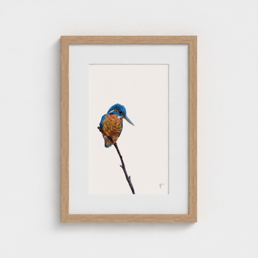 Kingfisher Art Print | British Wildlife Wall Art | Open Edition - Art by Jay | Wildlife Art