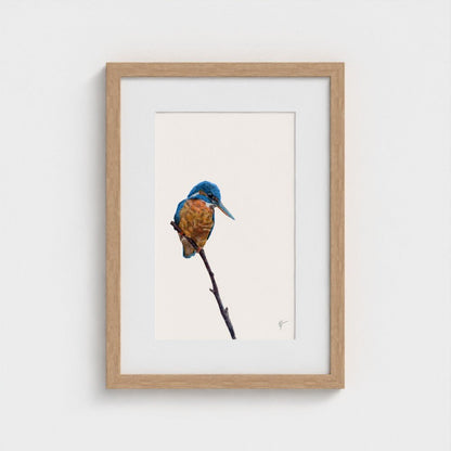 Kingfisher Art Print | British Wildlife Wall Art | Open Edition - Art by Jay | Wildlife Art
