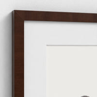 First Light robin art print framed and mounted