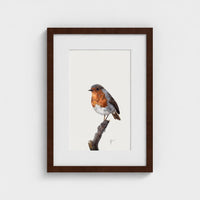 First Light robin art print framed and mounted