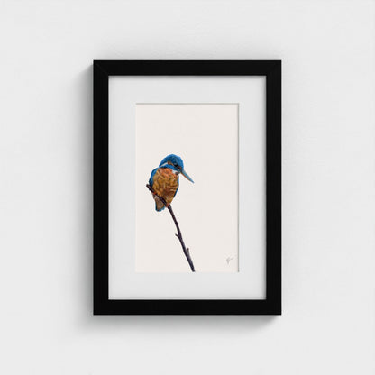Kingfisher Art Print | British Wildlife Wall Art | Open Edition Art by Jay | Wildlife Art