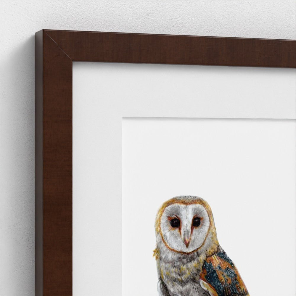 Barn Owl Wildlife Art Print | British Bird Wall Art Art by Jay | Wildlife Art