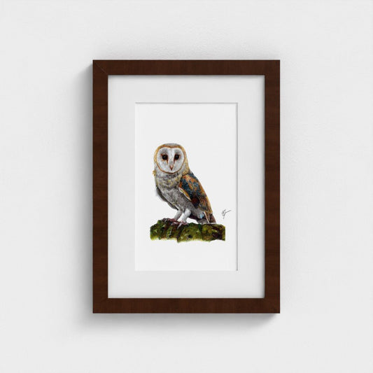 Barn Owl Wildlife Art Print | British Bird Wall Art Art by Jay | Wildlife Art