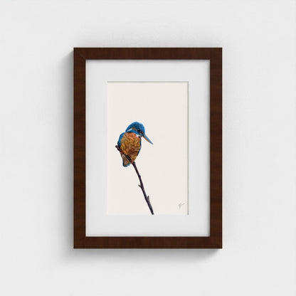 Kingfisher Art Print | British Wildlife Wall Art | Open Edition Art by Jay | Wildlife Art
