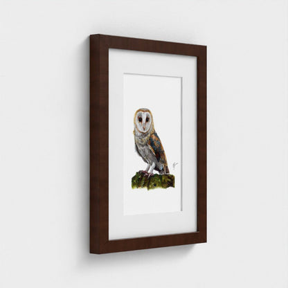 Framed artwork of an owl on a white background