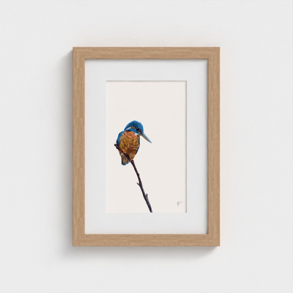 Kingfisher Art Print | British Wildlife Wall Art | Open Edition Art by Jay | Wildlife Art