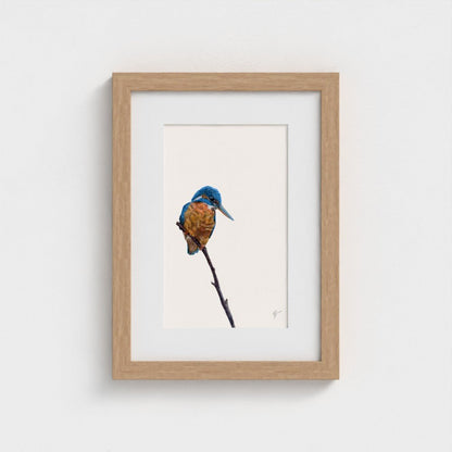 Kingfisher Art Print | British Wildlife Wall Art | Open Edition Art by Jay | Wildlife Art