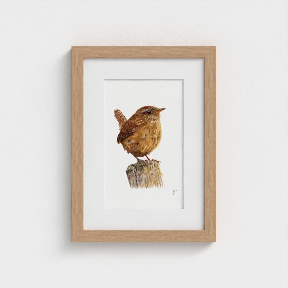 Wren Art Print | Grey Background | British Wildlife Wall Art | Open Edition prodigi