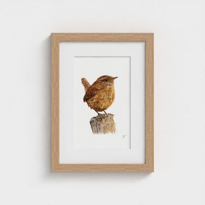 Wren Art Print | Grey Background | British Wildlife Wall Art | Open Edition prodigi