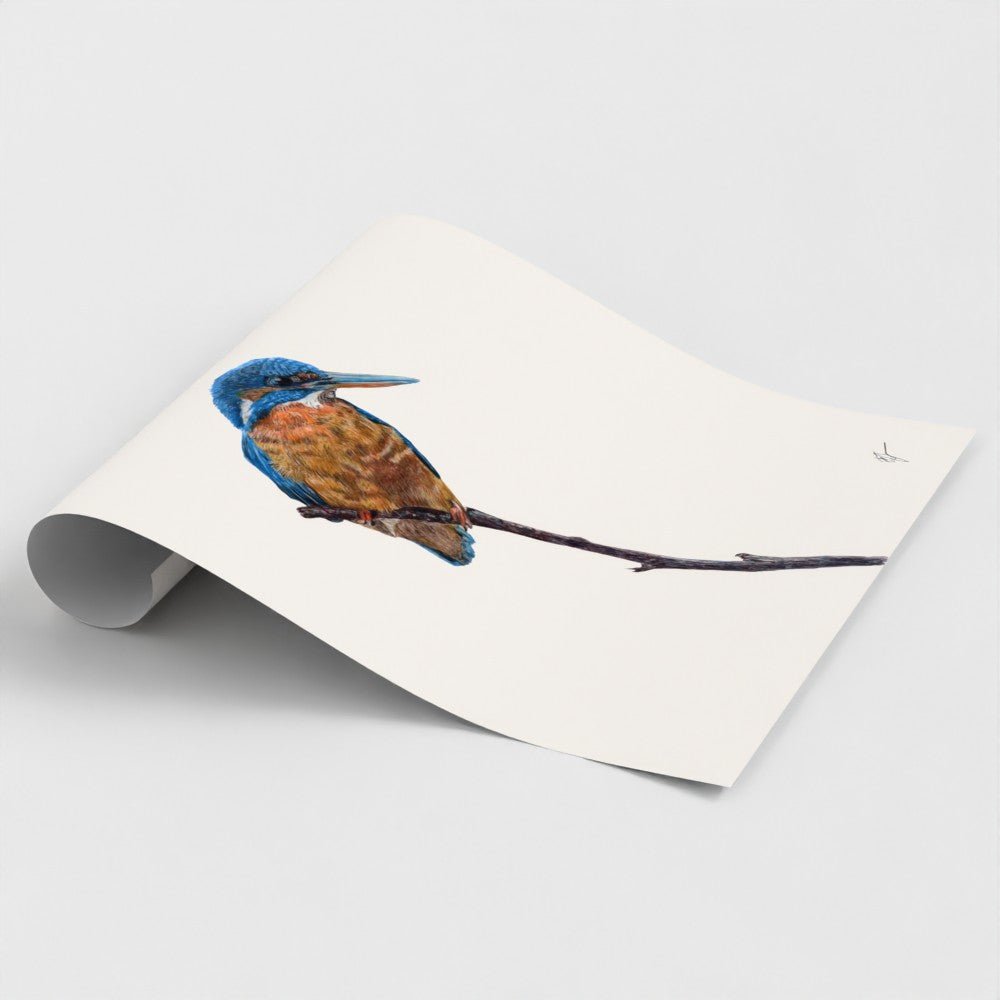 Kingfisher Art Print | British Wildlife Wall Art | Open Edition - Art by Jay | Wildlife Art
