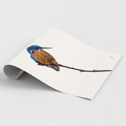 Kingfisher Art Print | British Wildlife Wall Art | Open Edition - Art by Jay | Wildlife Art