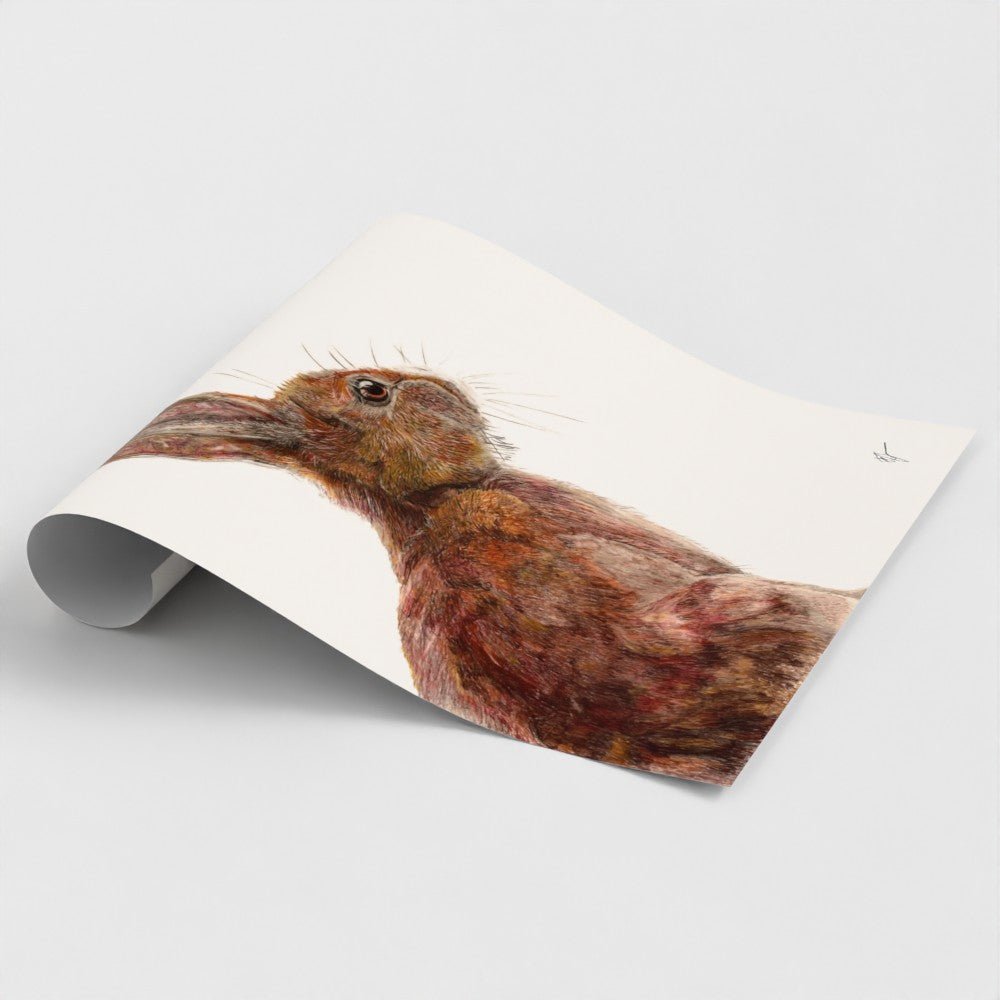 Hare Art Print | British Wildlife Wall Art | Open Edition - Art by Jay | Wildlife Art