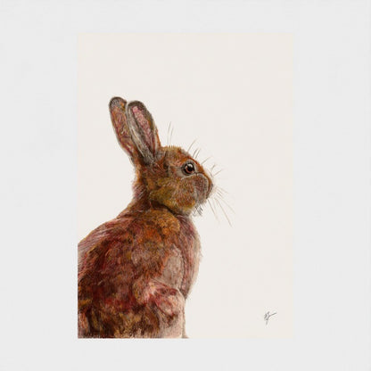 Hare Art Print | British Wildlife Wall Art | Open Edition - Art by Jay | Wildlife Art