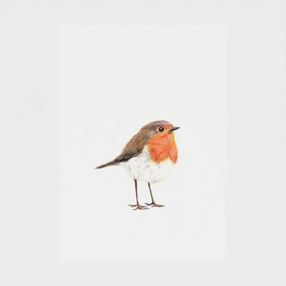 Robin Print prodigi
