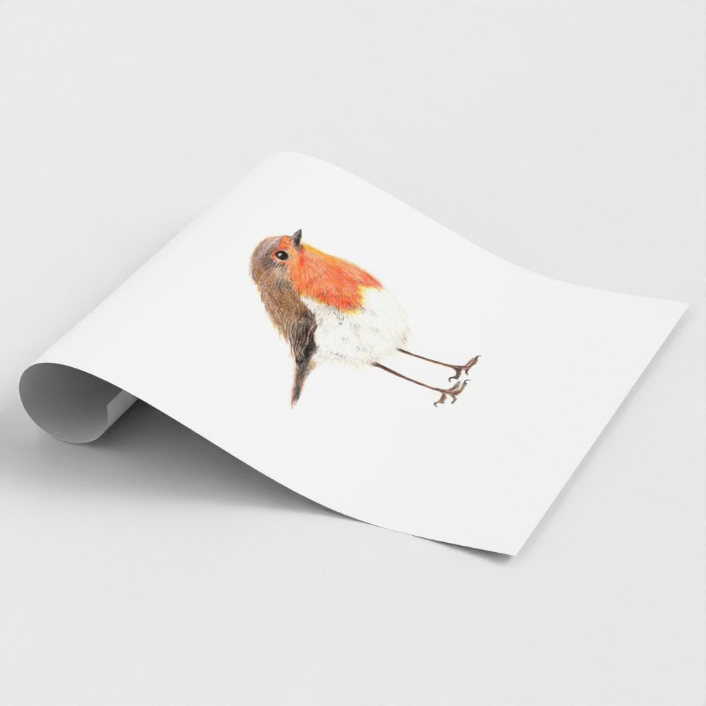 Robin Print prodigi