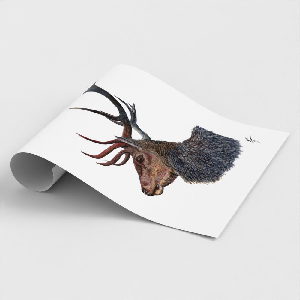 Stag Wildlife Art Print | British Wildlife Wall Art | Open Edition Art by Jay | Wildlife Art