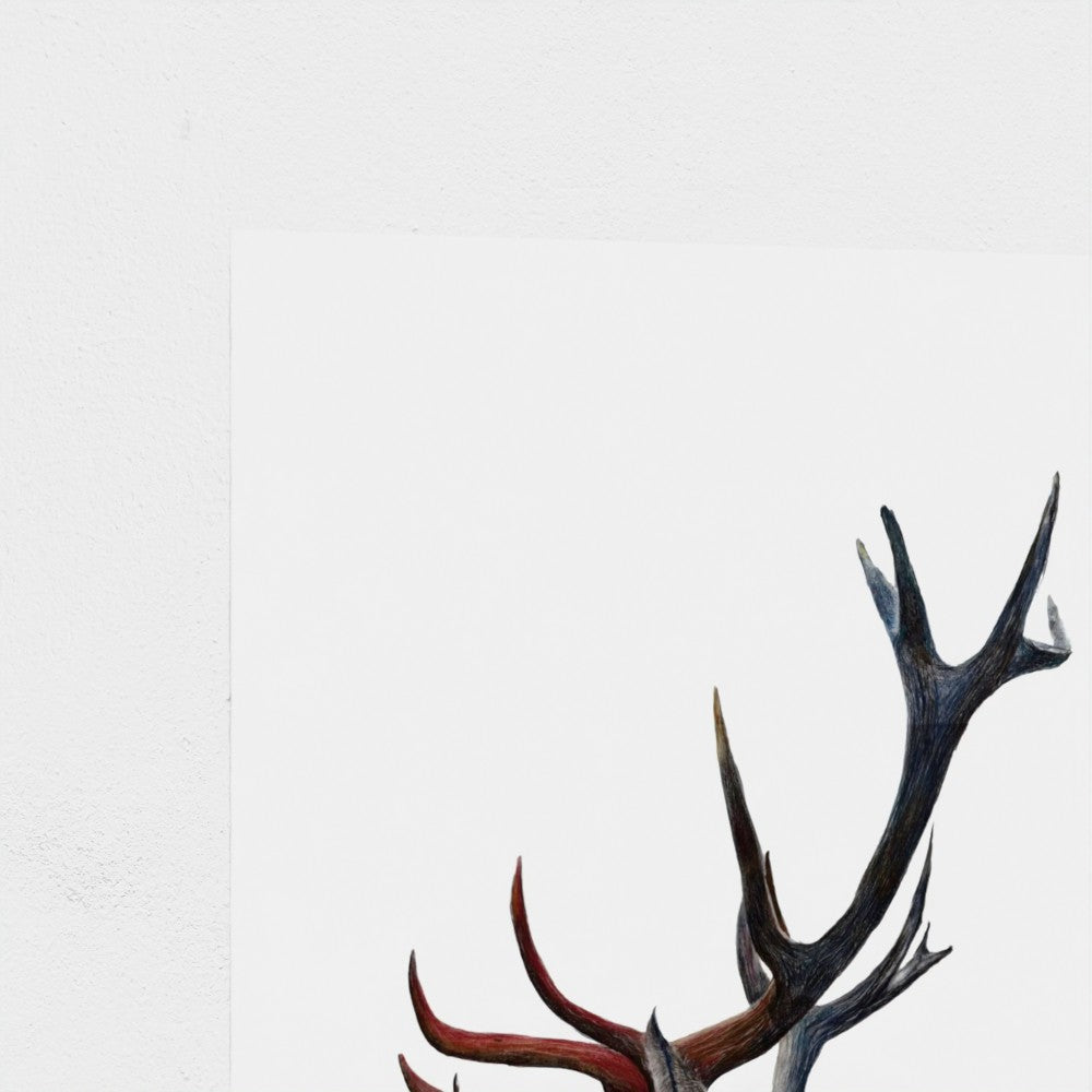 Stag Wildlife Art Print | British Wildlife Wall Art | Open Edition Art by Jay | Wildlife Art