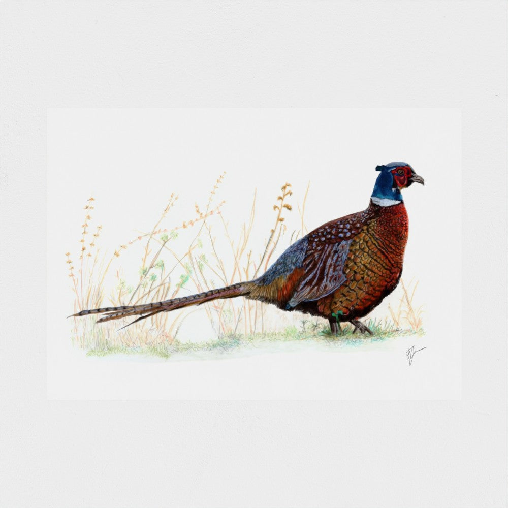 Pheasant Print prodigi